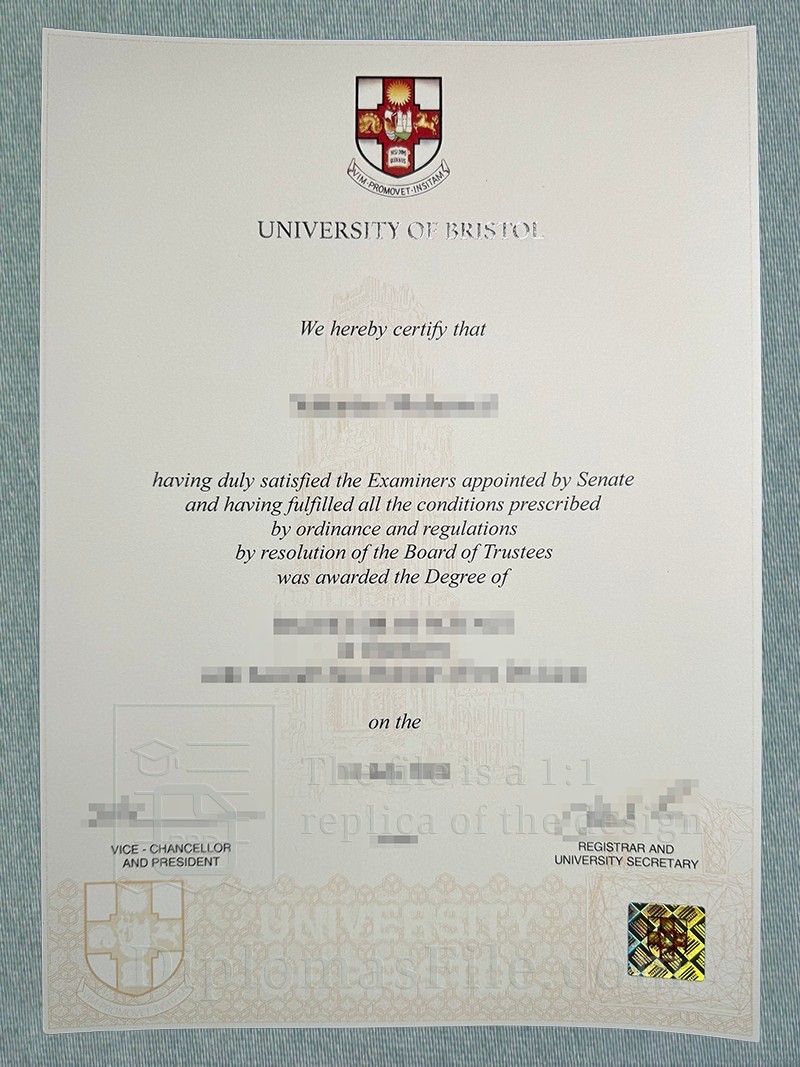布里斯托大学学位, University of Bristol Degree