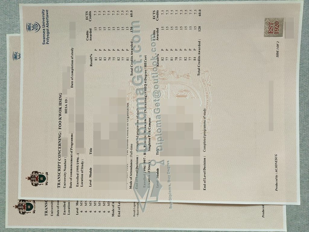 斯旺西大学成绩单, Swansea University Transcript