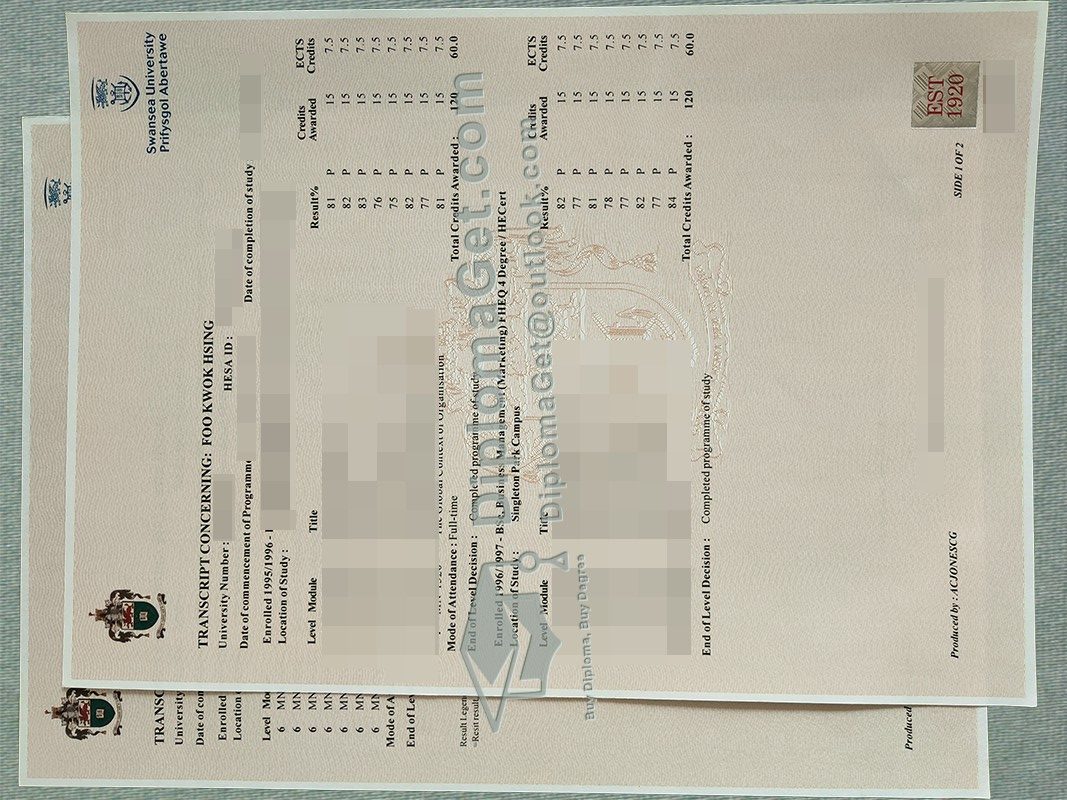 斯旺西大学成绩单, Swansea University Transcript