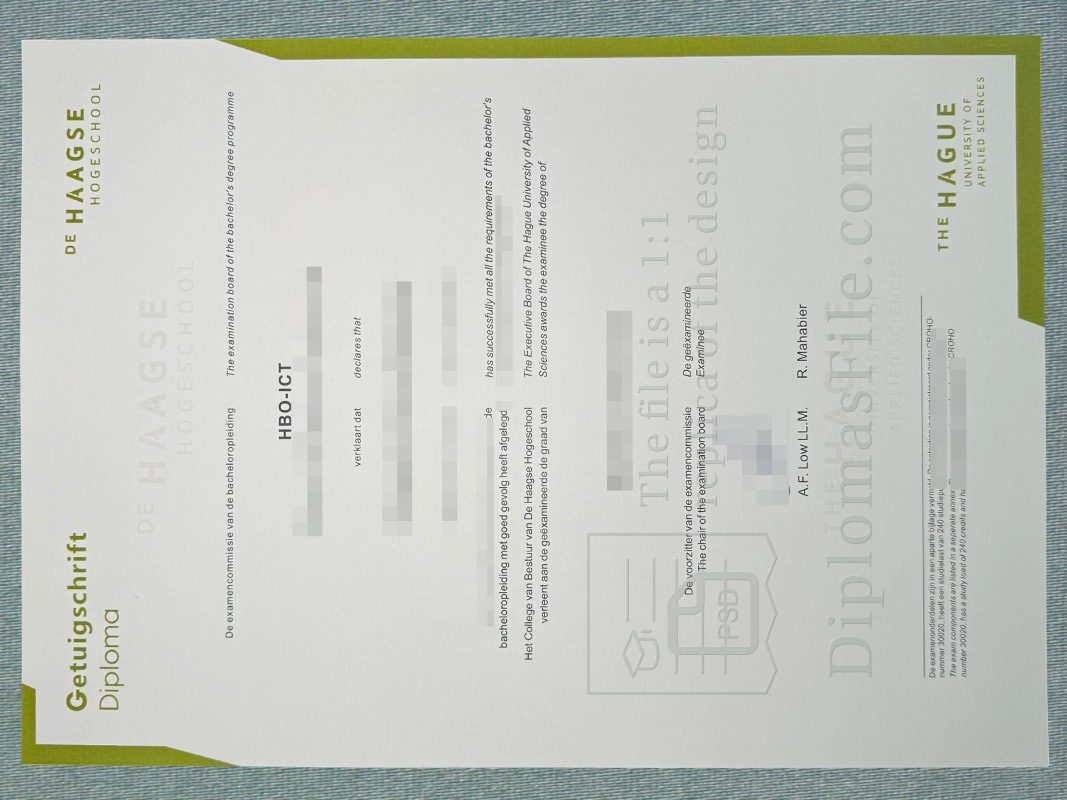 海牙应用科学大学文凭, De Haagse Hogeschool Diploma