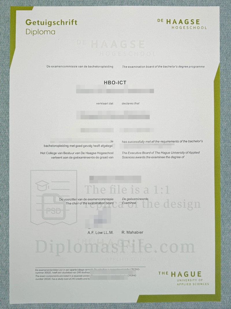 海牙应用科学大学文凭, De Haagse Hogeschool Diploma