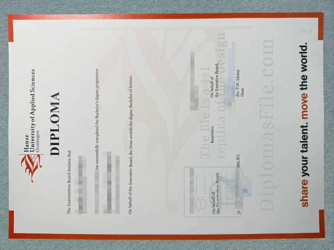 格罗宁根汉泽应用科学大学文凭, Hanzehogeschool Groningen Diploma