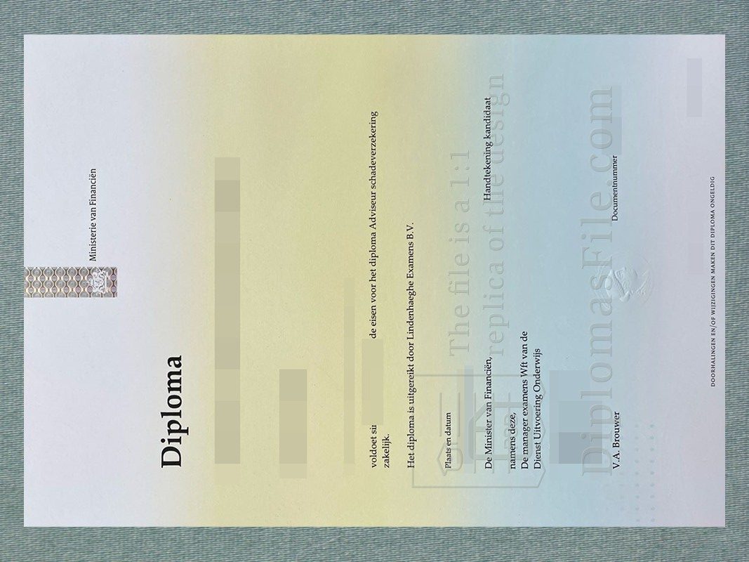 财政部文凭, Ministerie van Financiën Diploma