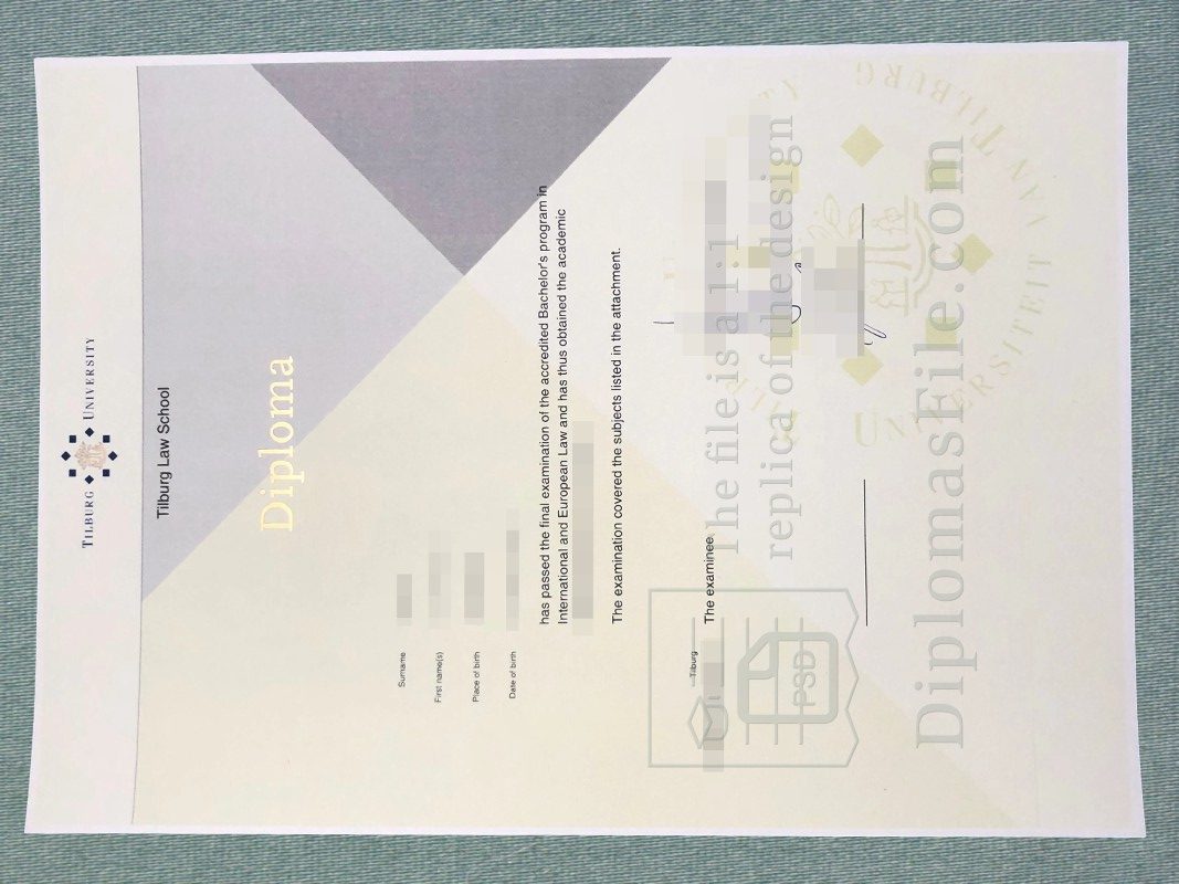 蒂尔堡大学文凭, Tilburg University diploma