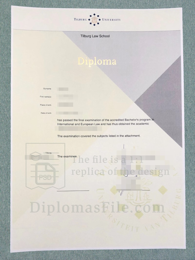 蒂尔堡大学文凭, Tilburg University diploma