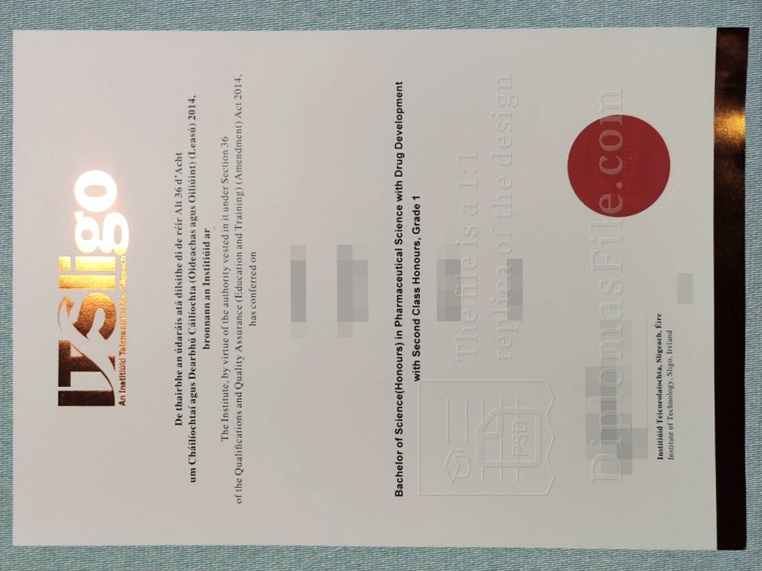 斯莱戈理工学院文凭, IT Sligo Diploma