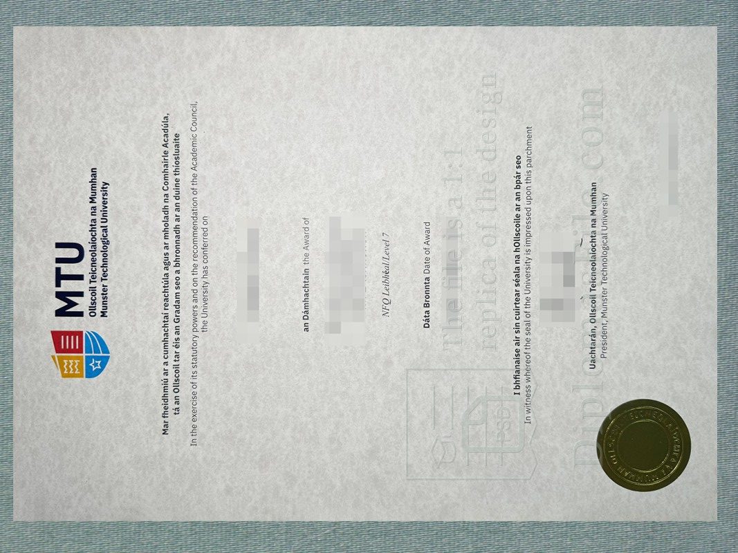 明斯特理工大学文凭, Münster University of Technology Diploma