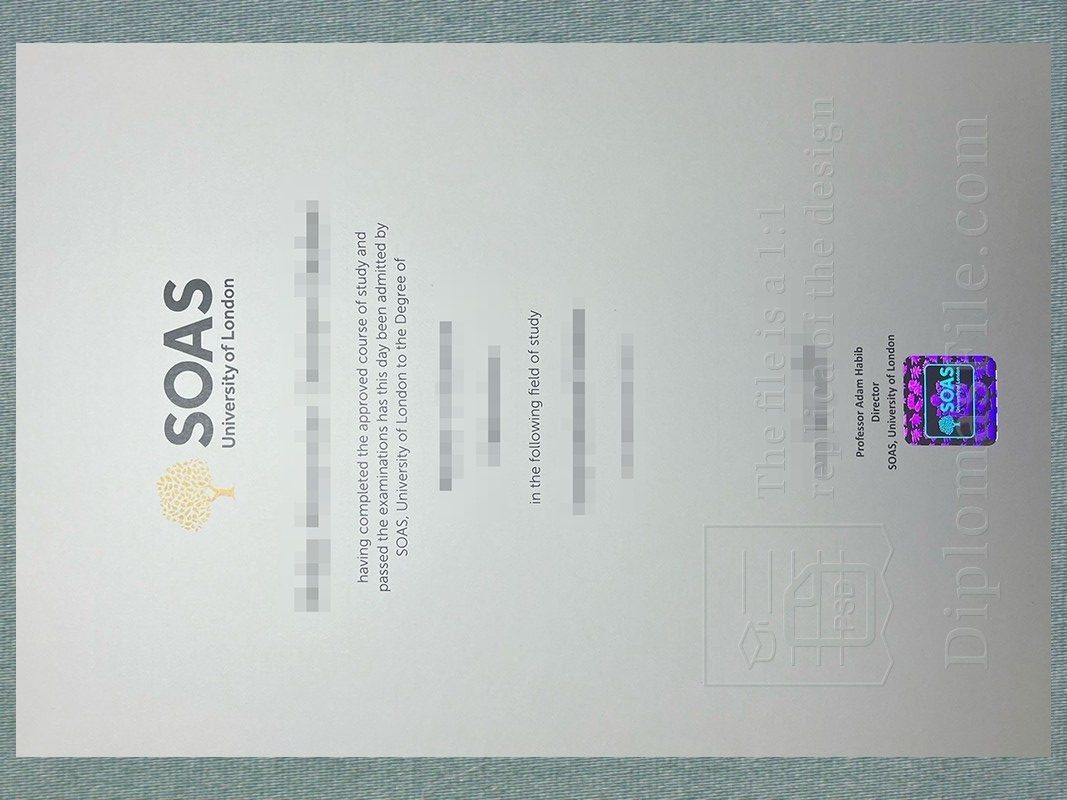 伦敦大学亚非学院学位, SOAS University of London Degree